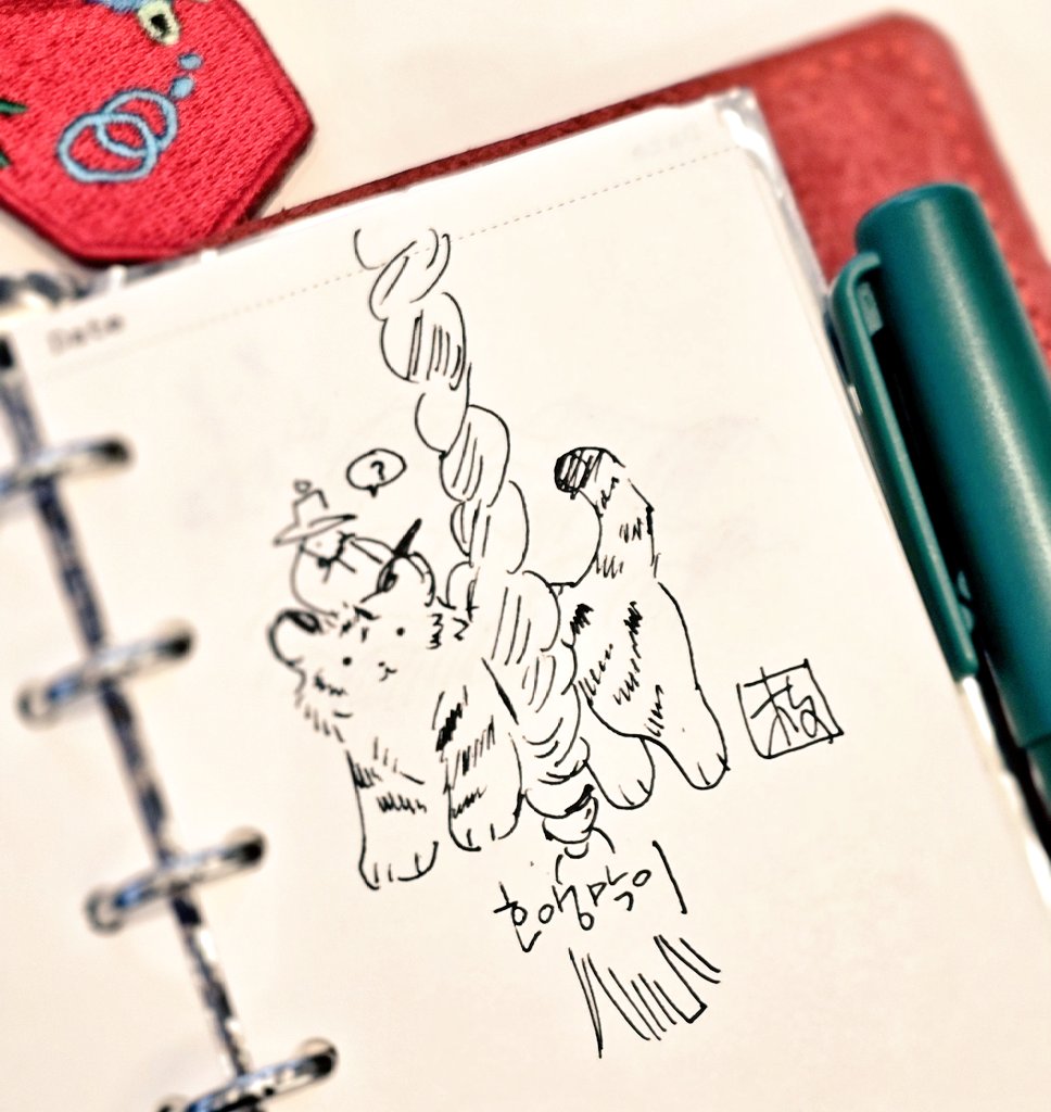 가지 🌿 🌺 tweet media