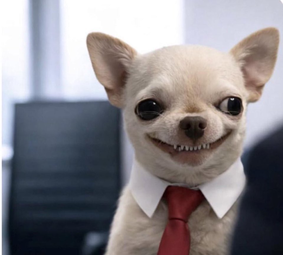 Waliyat ⊹ tweet media