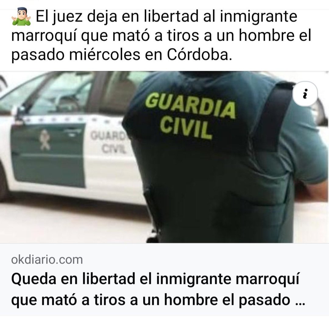 Sinonado 🇪🇸🏊‍♂️ tweet media