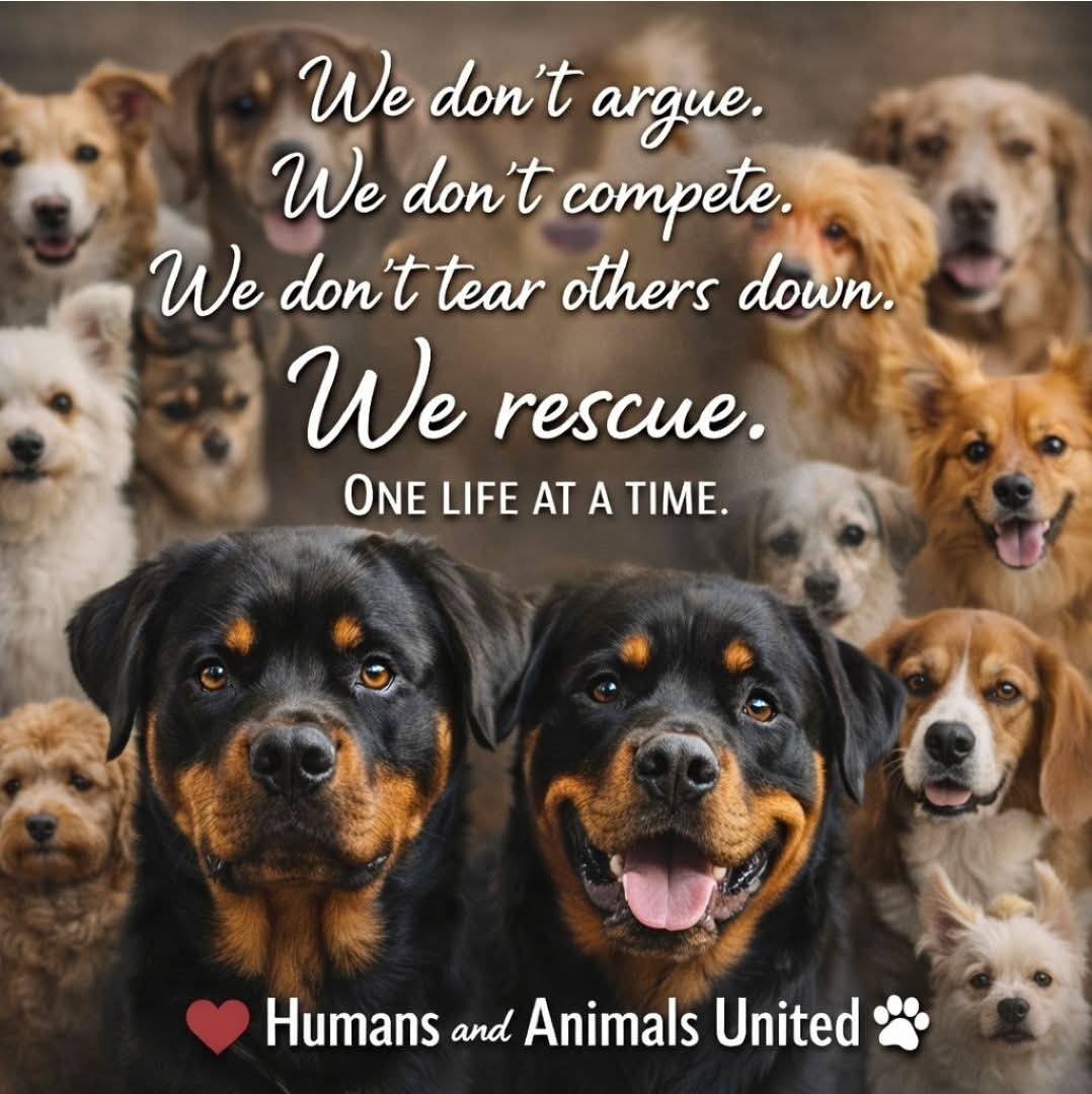 Humans and Animals United has a documented track record of slandering and threatening anyone who questions them.

#rosafond should invest in a dictionary. Empty words coming from #haau.

This is as phony as Rosa's illustrious career as a runway model and actress. 

#whatajoke