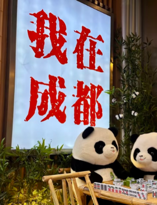 OgleDave's tweet photo. 成都很美，可惜就是没有朋友武侯吃饭一个人 双 流上班 一个人 温江回家一个按摩人 金牛逛街也是兼职一个人   #成都 https://t.co/iD5EBmxFT9