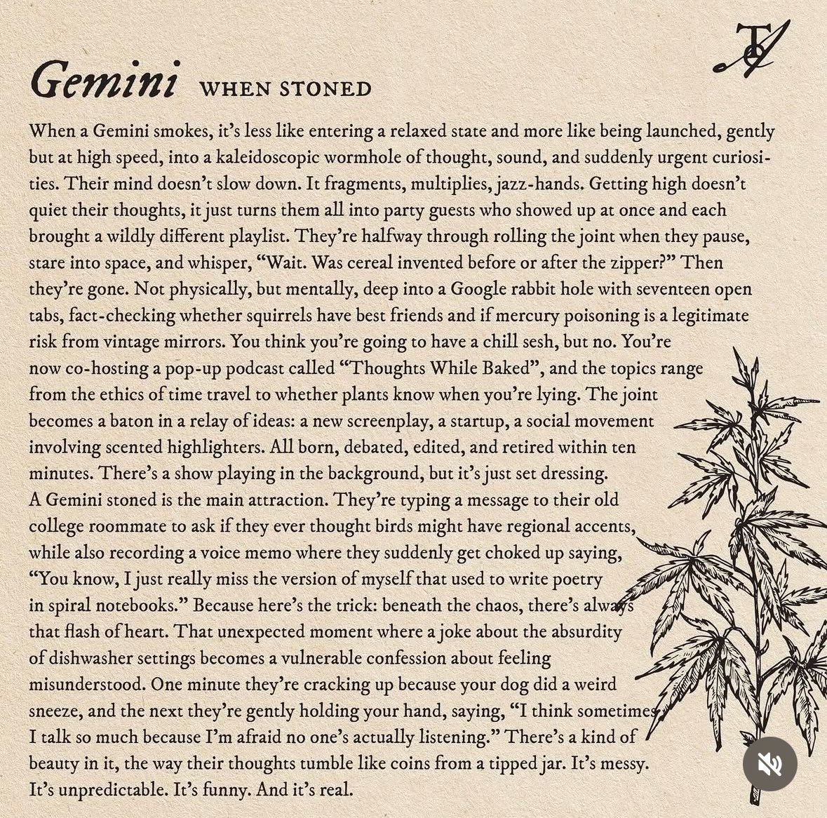 pelirroja666 🪷 tweet media