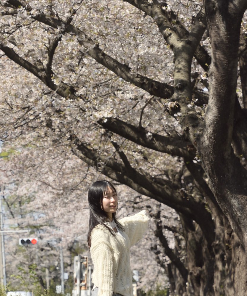４月３日に大宮第二公園にて撮影
４枚目は自治医大前
モデル︰未里めいさん
<a href="/mei_misato0103/">未里めい🌻撮影依頼受付中</a>
#写游会
#撮影機会欲しい 
#ポートレートモデル募集