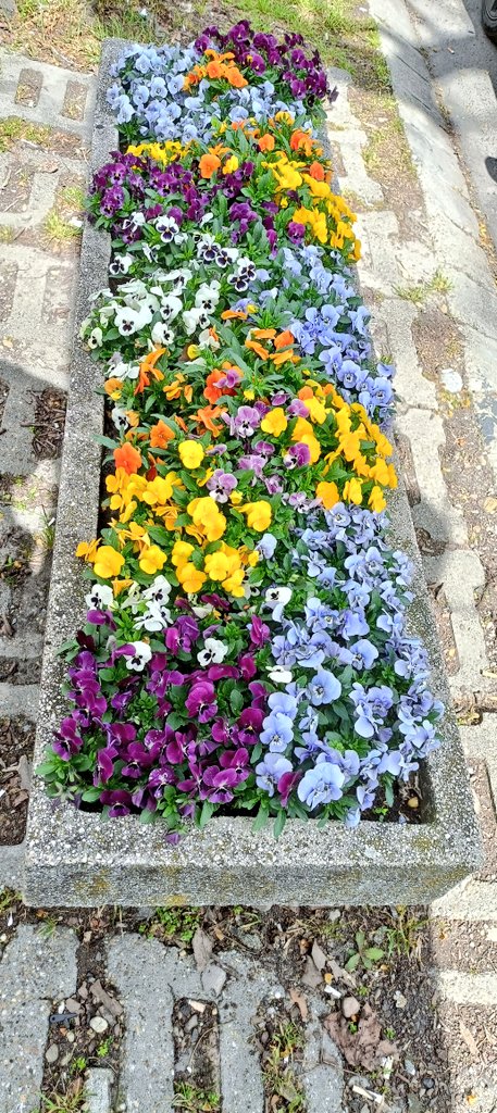 Nature's Magic' tweet media