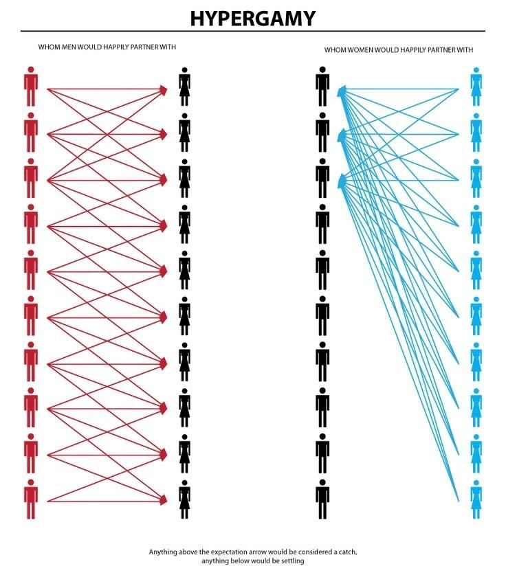 Alexander 𖤓 Nietzschean Vitalist tweet media