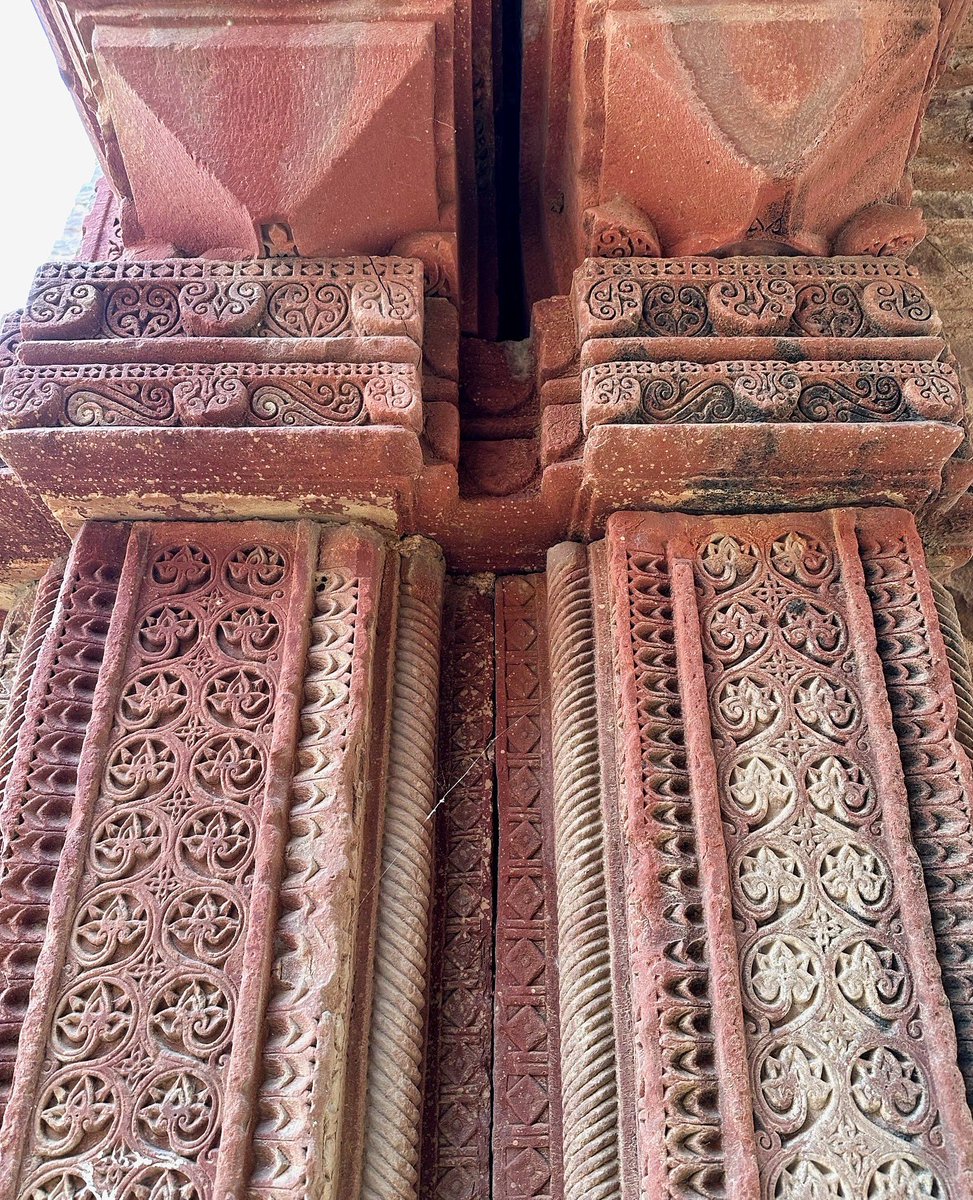 Helen Ibbott 💙📸📖 tweet media