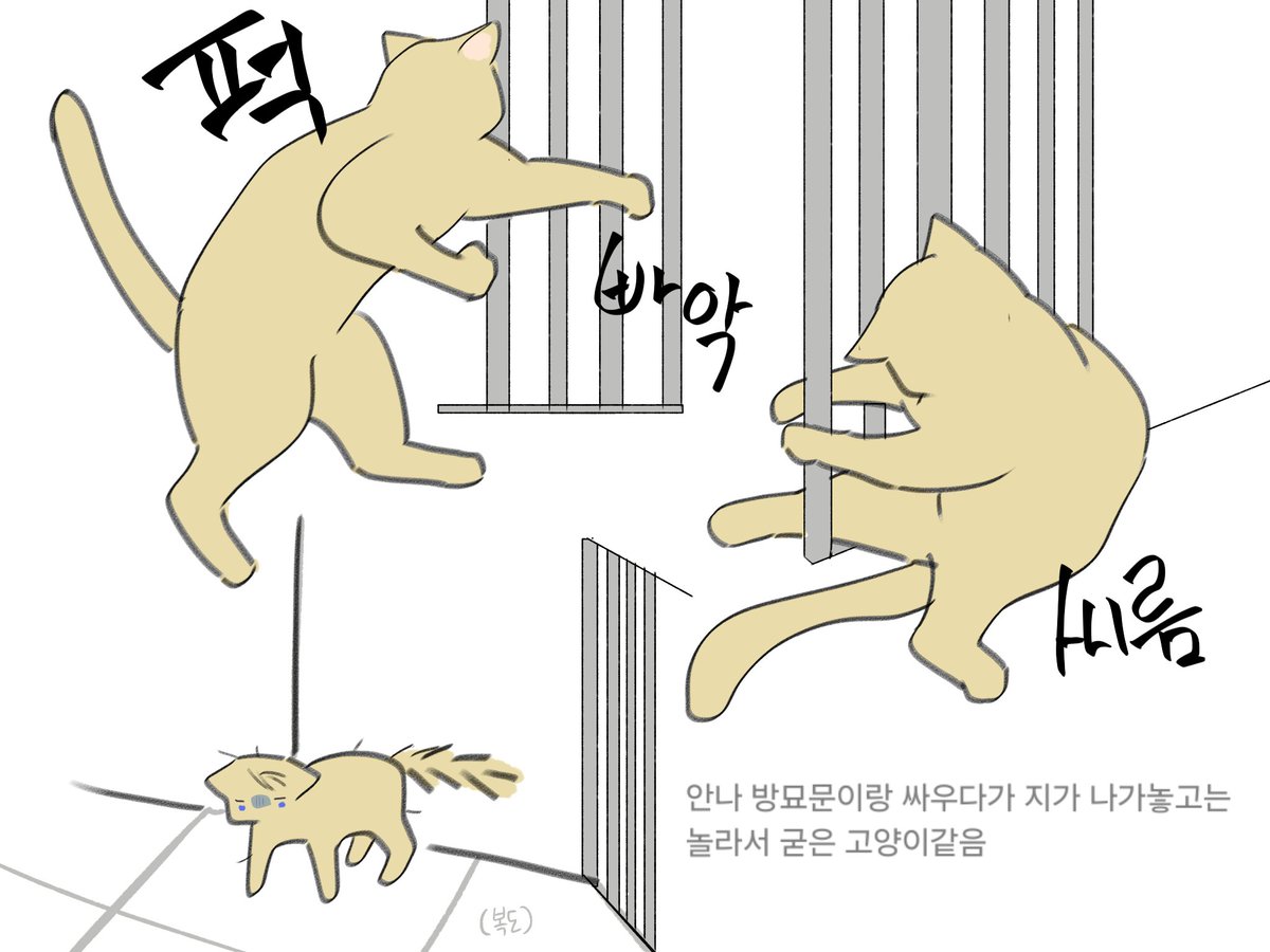 이다롱 tweet media