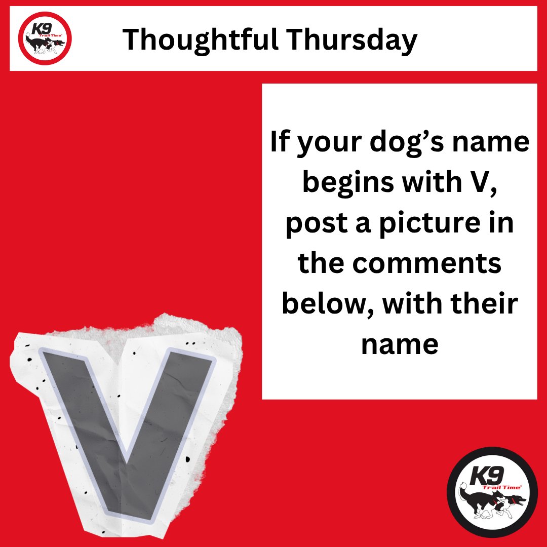 Thoughtful Thursday

✏️ It's the Alphabet Challenge

If your dog has a name that starts with ⏩ V

📸 Post a picture of them in the comments
and
🐶 Tell us their name

GO,GO,GO

#k9trailtime#activedogsarehappydogs#canicross#runningwithdogs#canicrossdogs