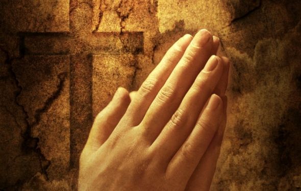 ofmfranciscanos tweet media