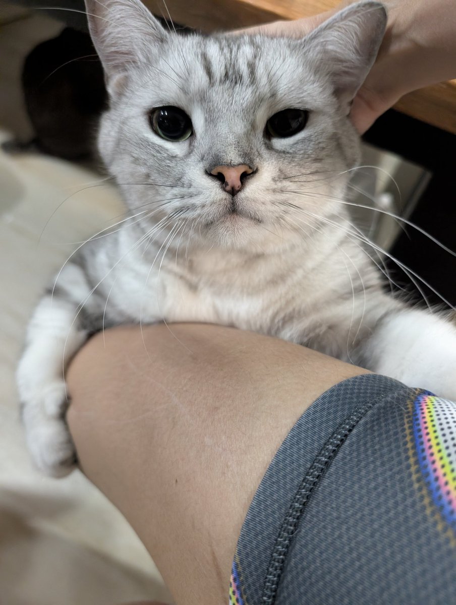 bllless 🏳️‍🌈🇺🇦🍭 tweet media