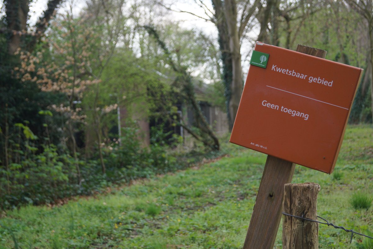 Geesje Rotgers tweet media