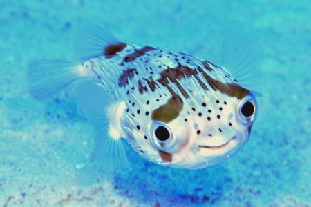 たかしくん tweet media