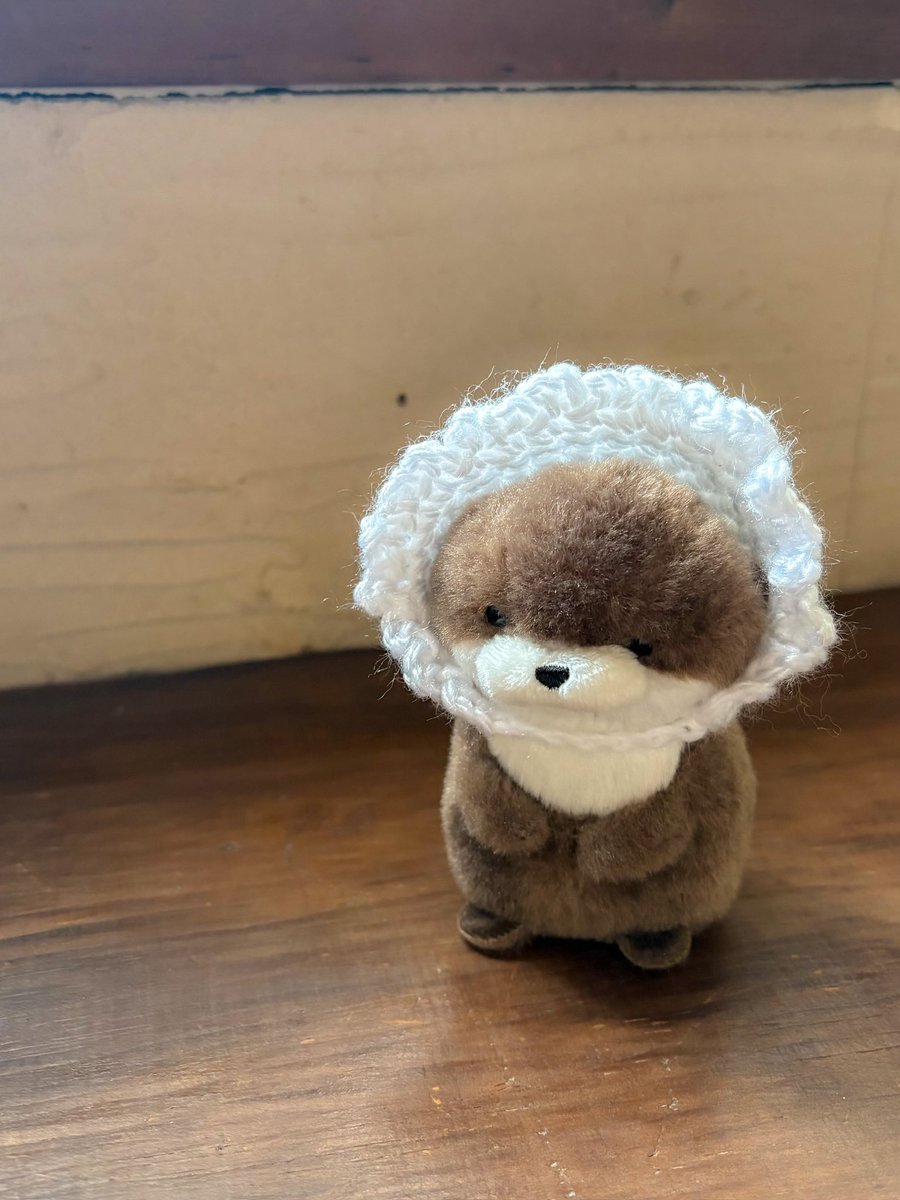 ちょぼまる tweet media