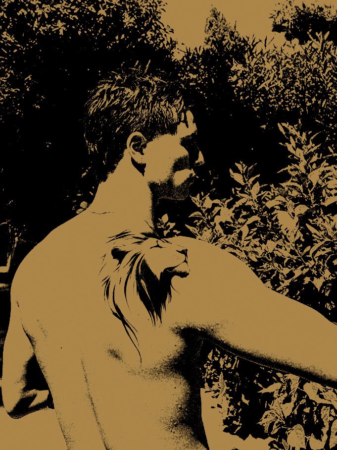 ꜰᴇᴅᴇʀɪᴄᴋ, tweet media