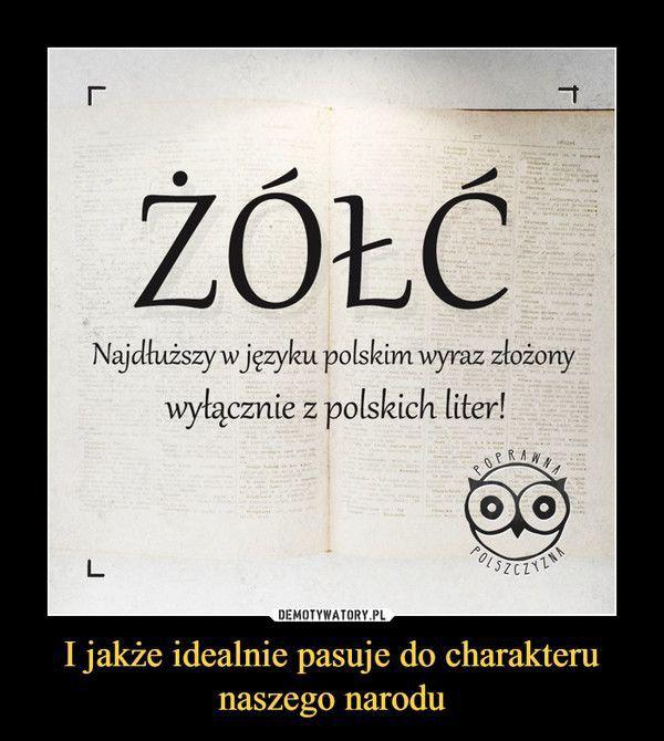 Dominika tweet media