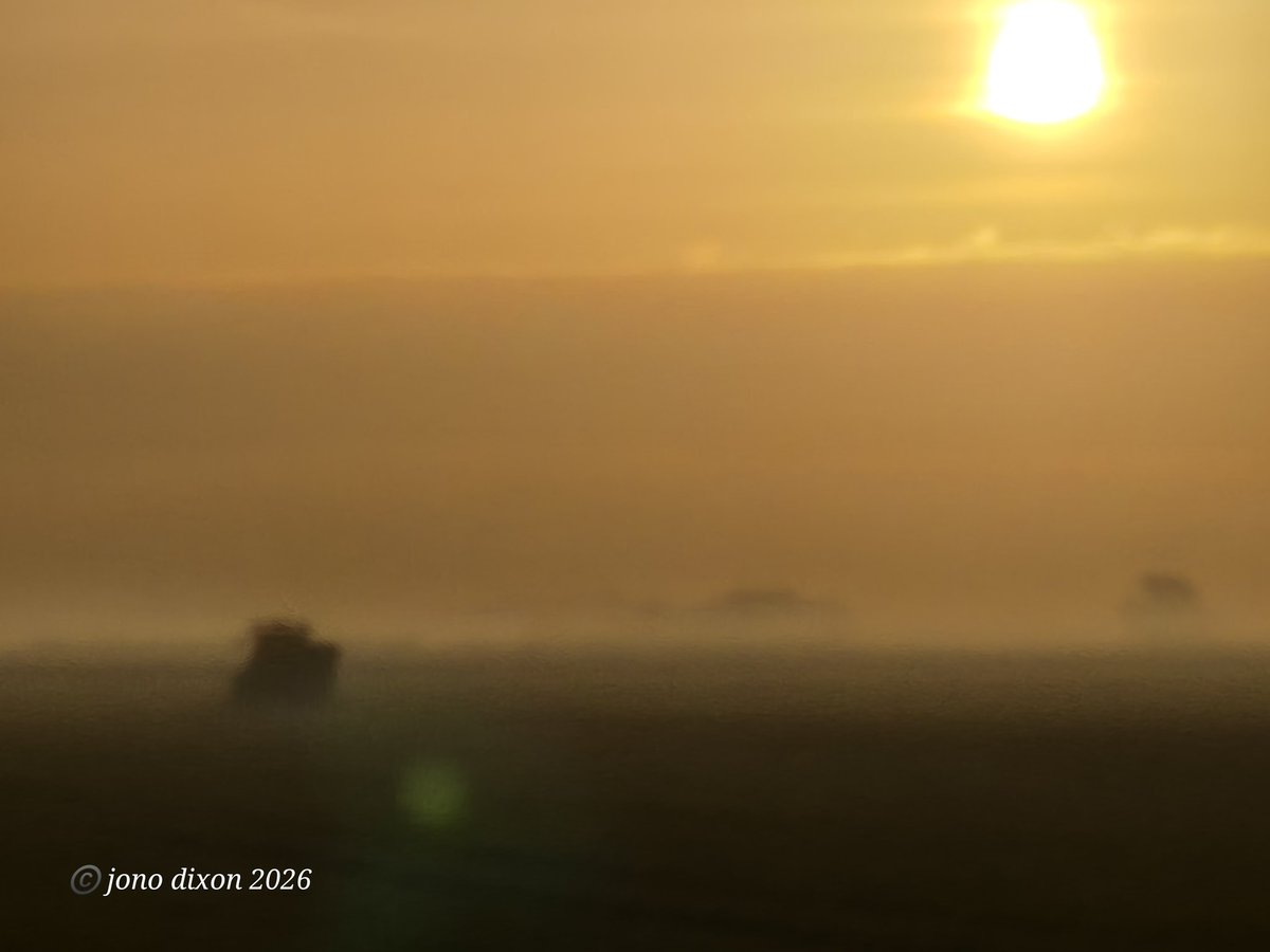 no1sunkfarmer's tweet photo. #SpringSunRise On with the AN this morning. Couldn't be better as flat calm 45ha tick off already
@CLAAS_Eastern @Amazone @WilfredScruton
NSensor doing its thing. https://t.co/IPSLDXWWbj
