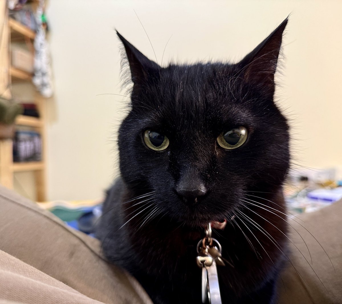 Стас Юрченко tweet media