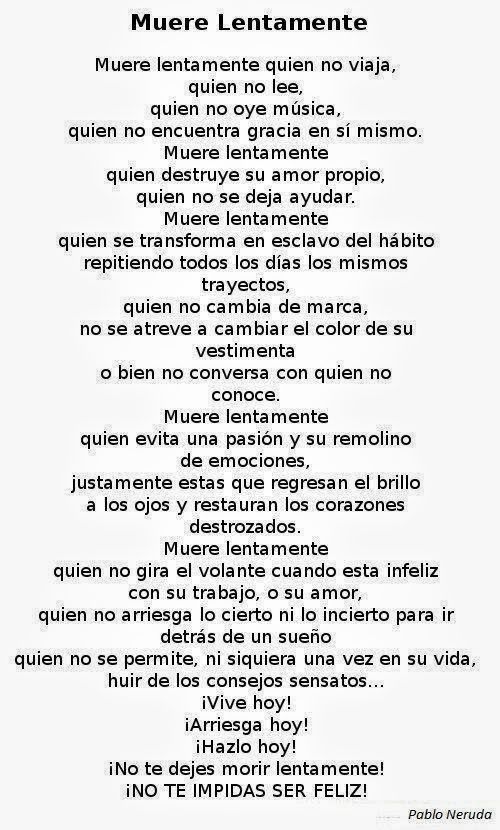 PetitPrince tweet media