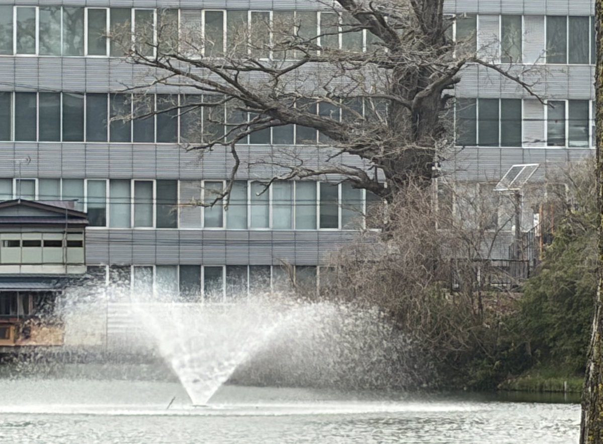 Chiro🍮💛🐰 tweet media