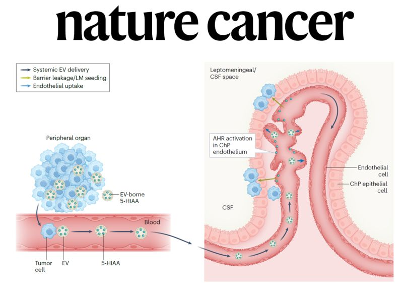 Prashant Kumar, CSO-DATAR CANCER GENETICS tweet media