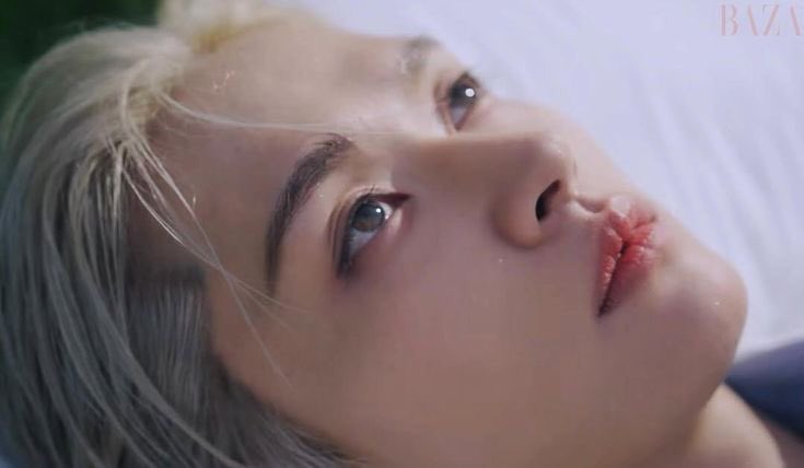 Nox 🌌 tweet media