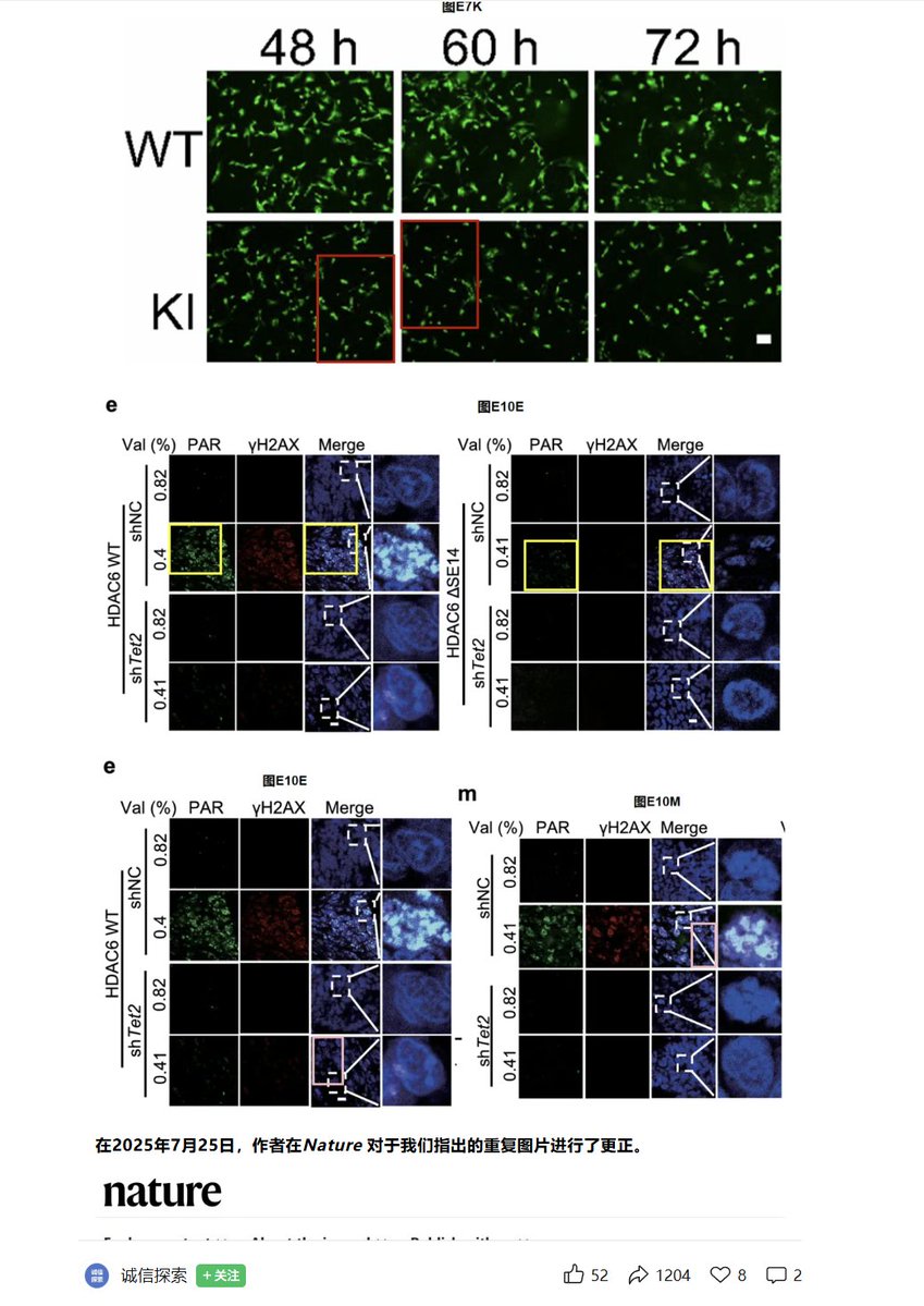 李老师不是你老师 tweet media