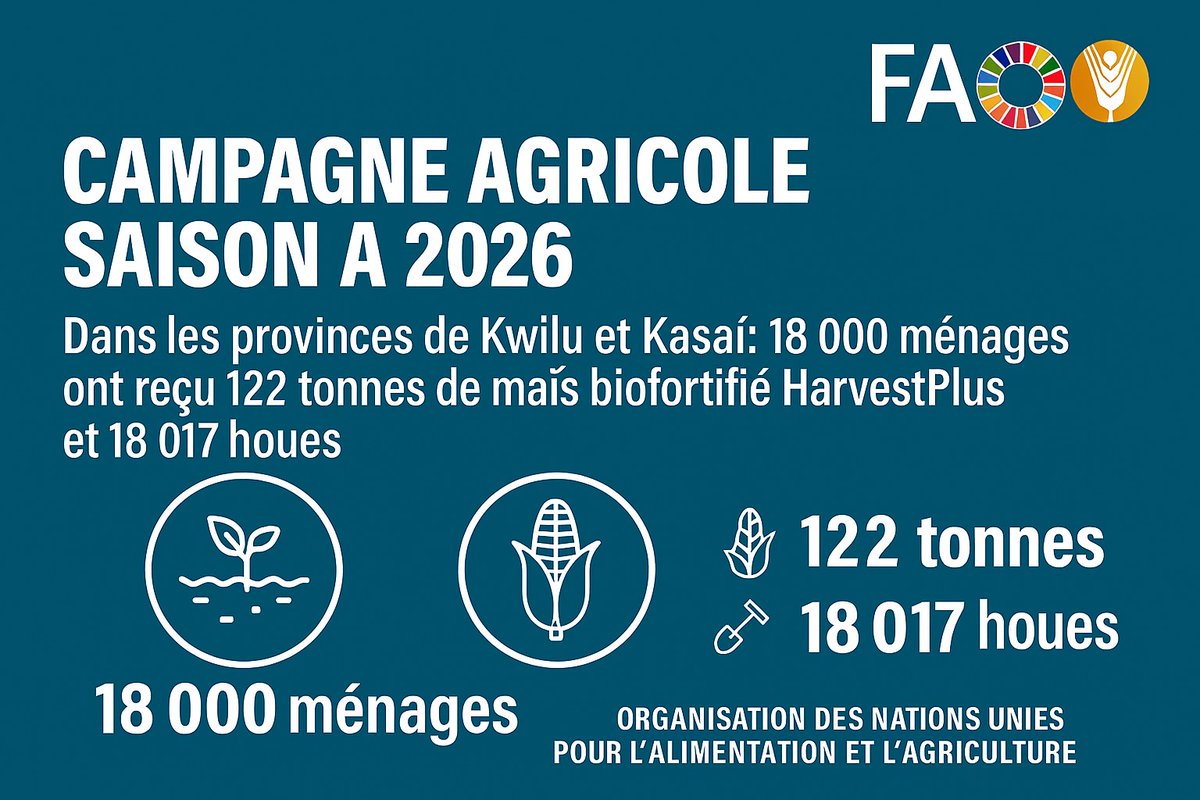FAORDCongo's tweet image. 🌱Campagne agricole – Saison A 2026 | RDC
Grâce au 💰 @Banquemondiale, la @FAORDCongo, avec #PMNS, a distribué semences et outils via des foires aux semences afin de renforcer la #sécuritéalimentaire et la #nutrition des ménages des provinces de #Kwilu et #Kasaï

#Agriculture