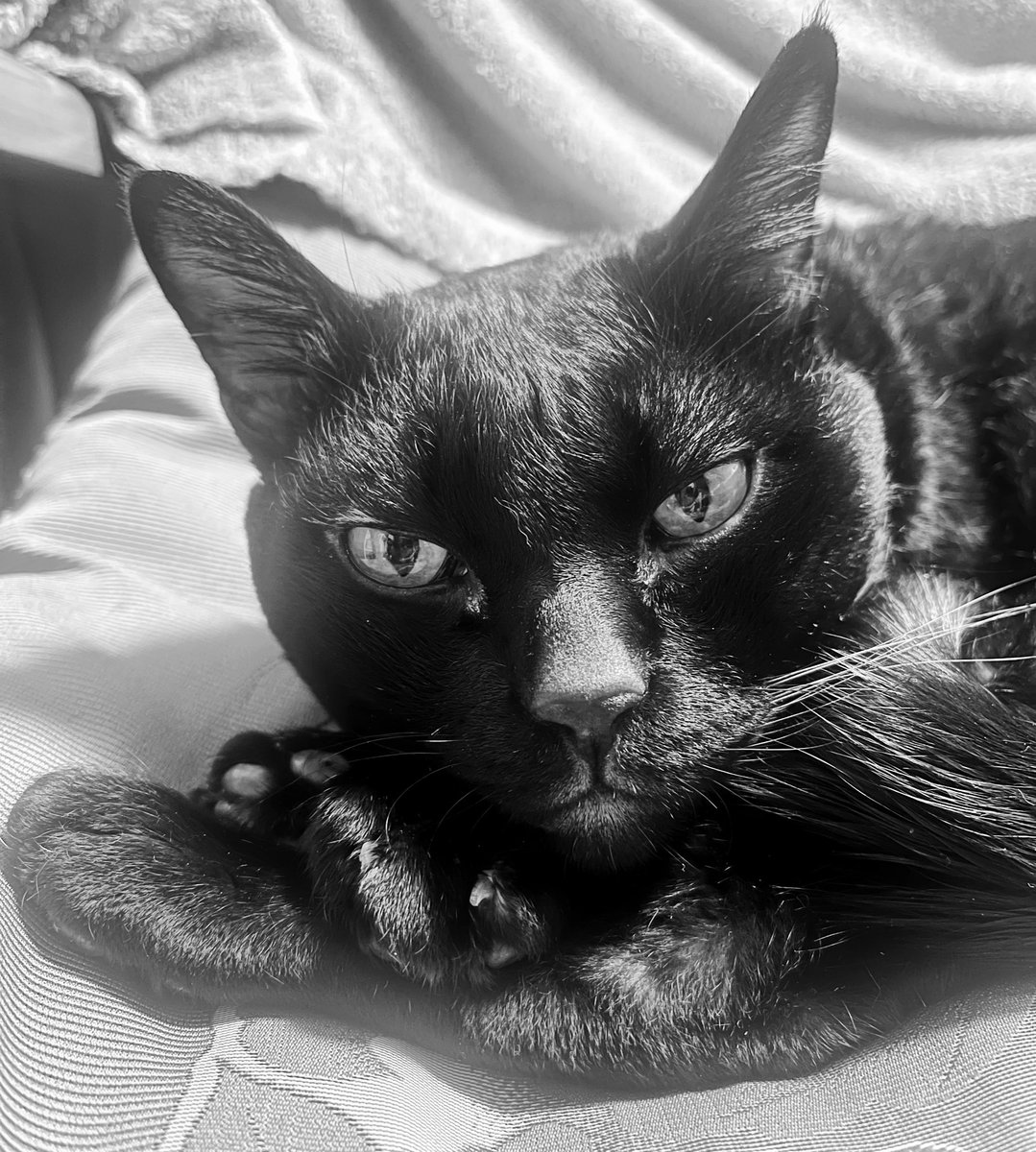 まりブー tweet media