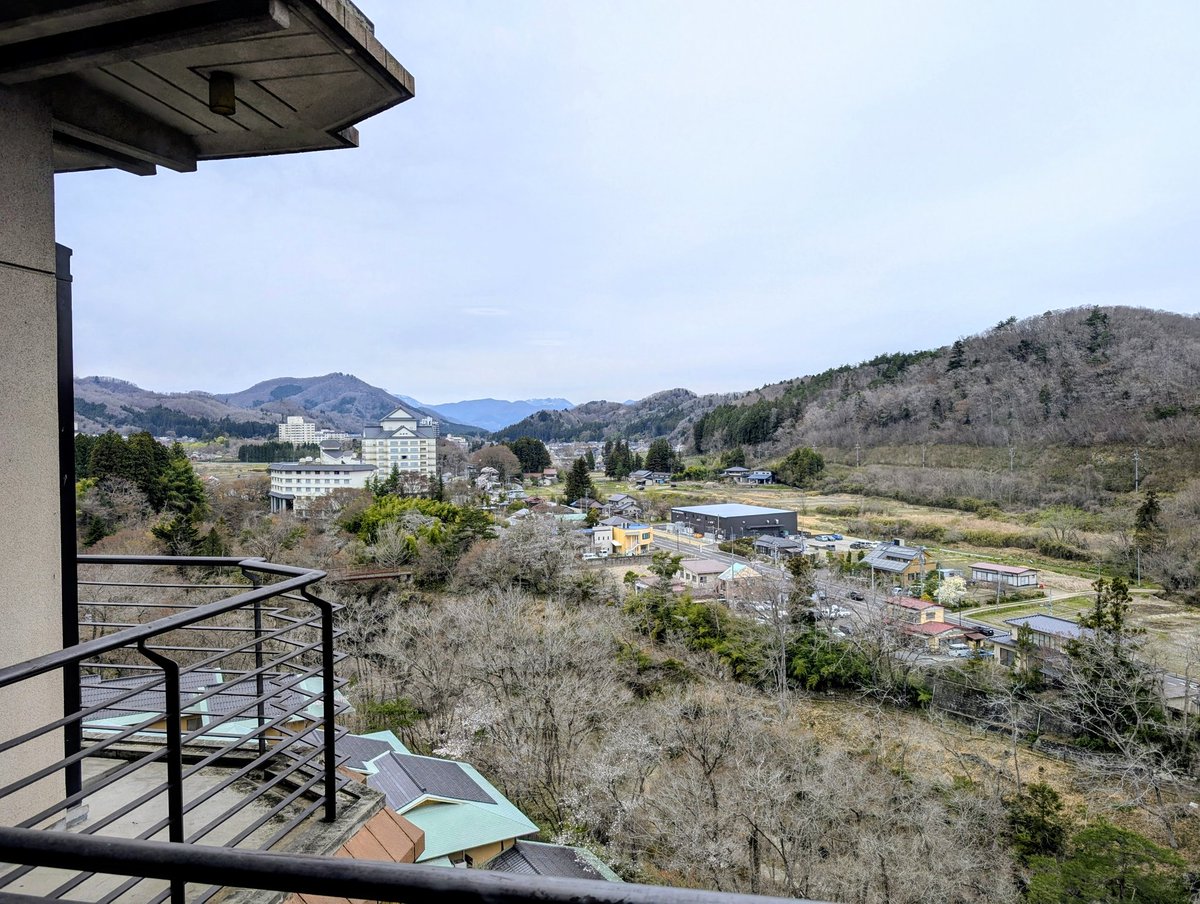 Sleepyfrog (カエル)＠日本帰省中 tweet media