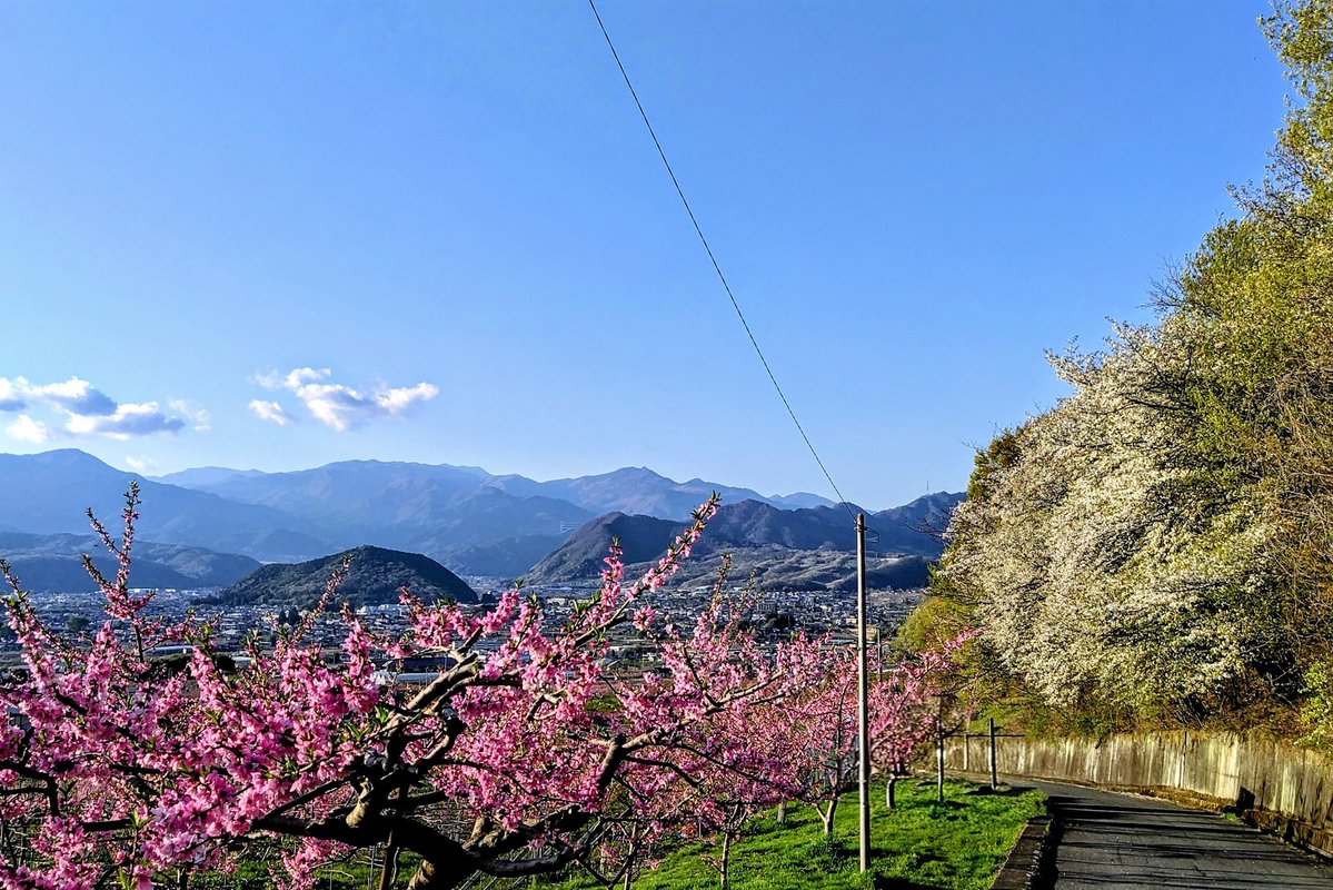 らきあ🍜ლ(´ڡ`ლ) tweet media