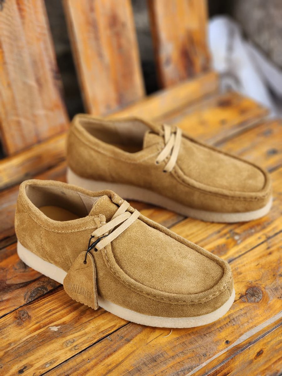 🐐Rastaman 🍁 tweet media