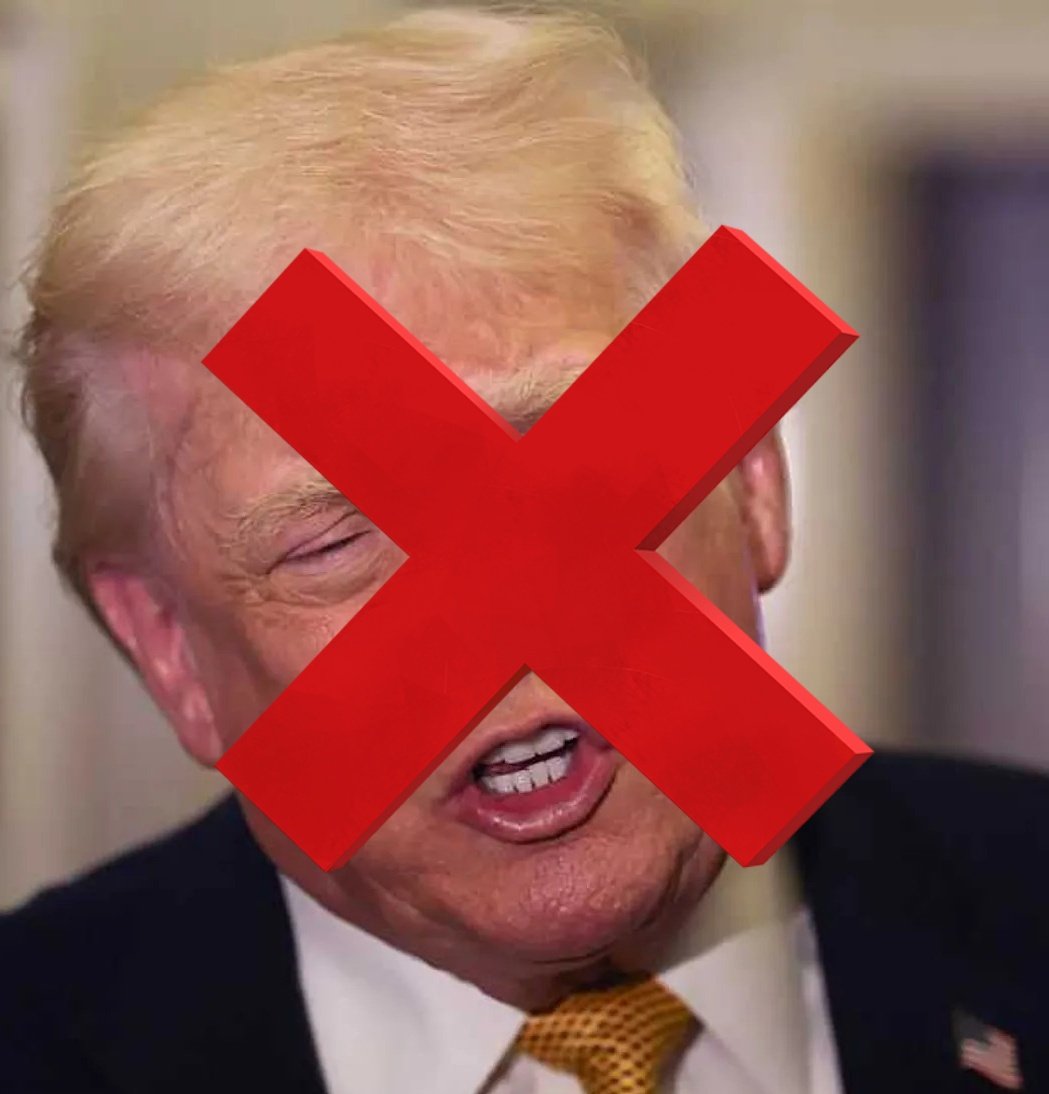 ✦✦✦ 𝙿𝚊𝚖𝚙𝚑𝚕𝚎𝚝𝚜 ✦✦✦ tweet media