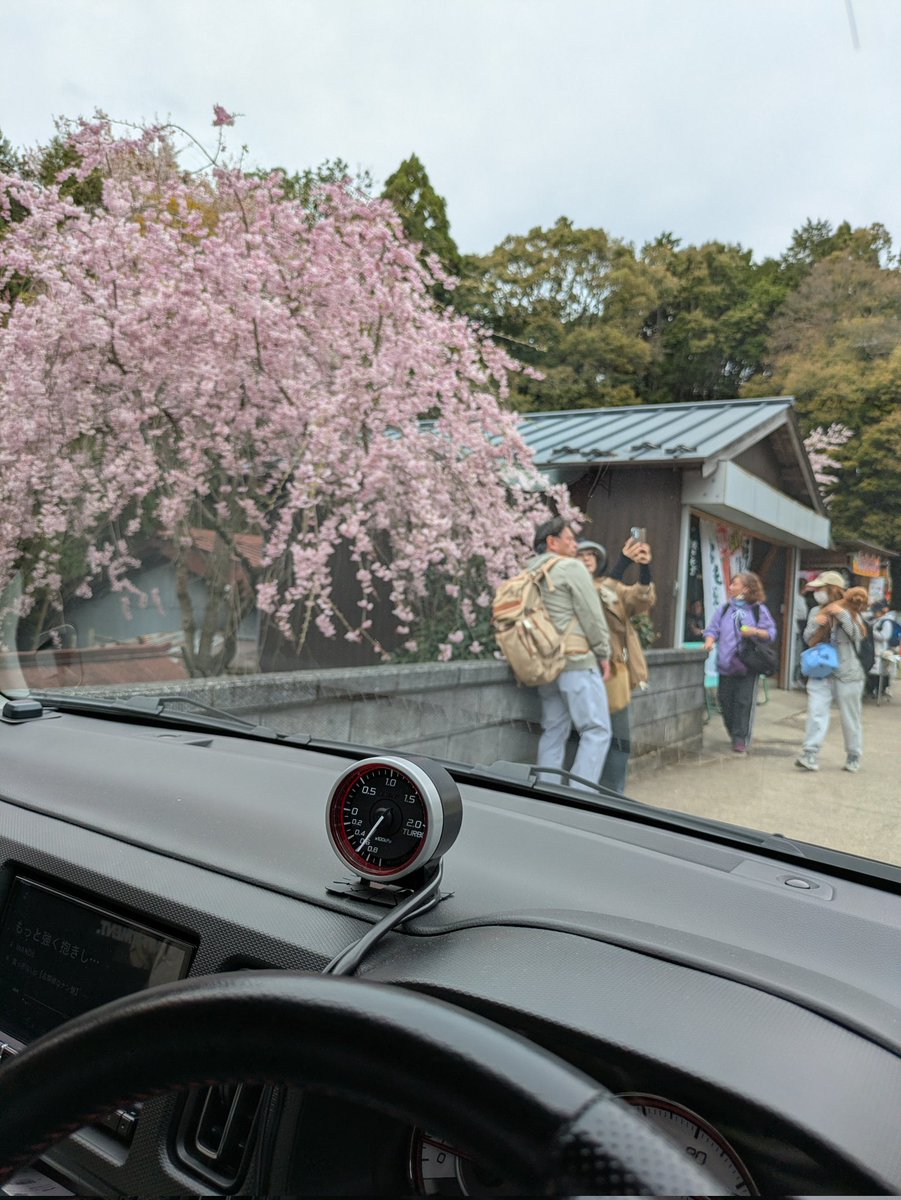 ふみや tweet media