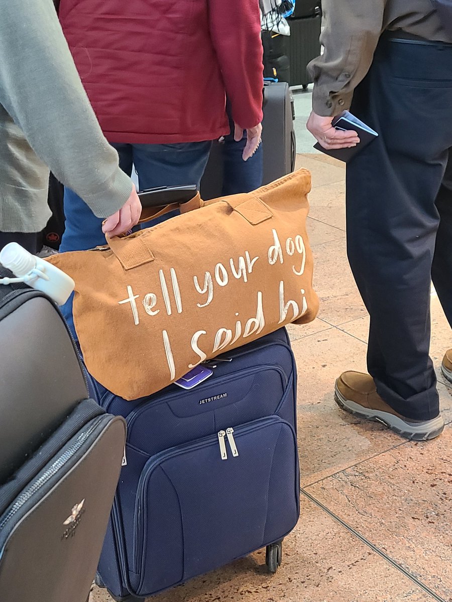 FanRankin's tweet photo. @dog_rates just now, in the Brussels airport! https://t.co/fGUvgVNuZ9