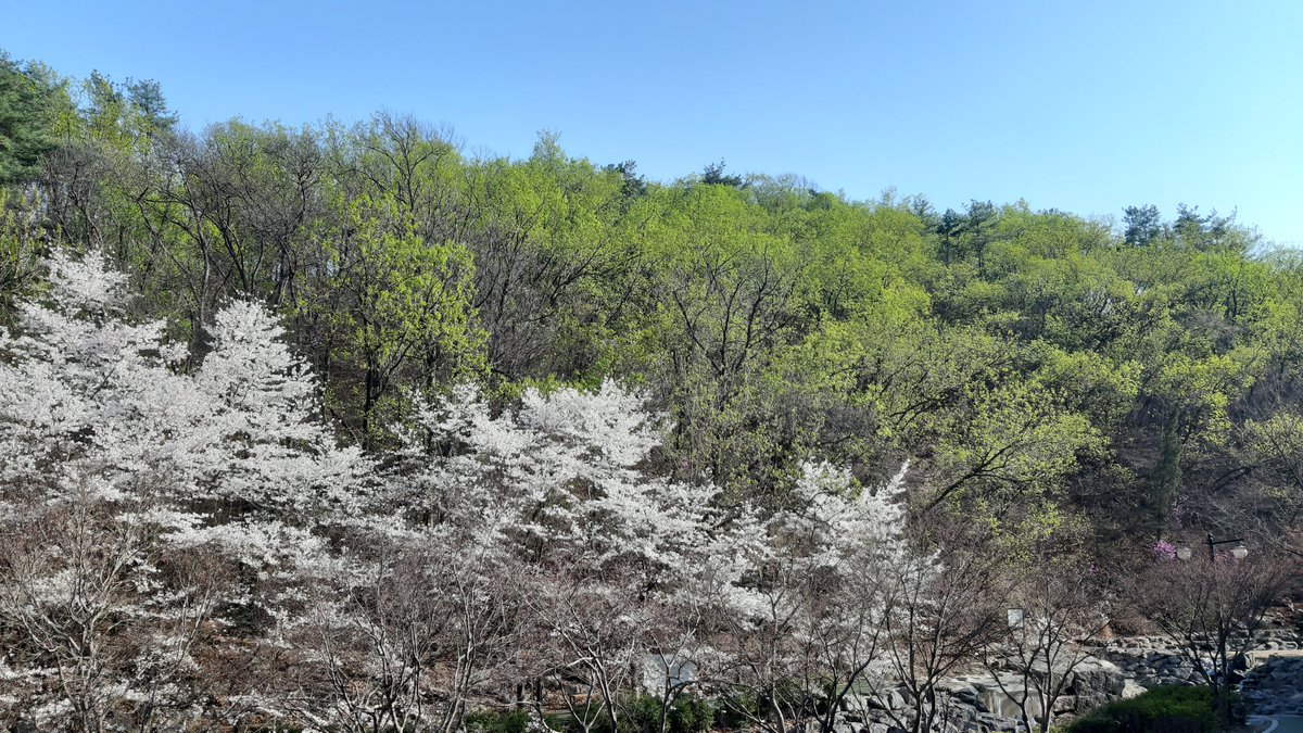 hamlit33 tweet media