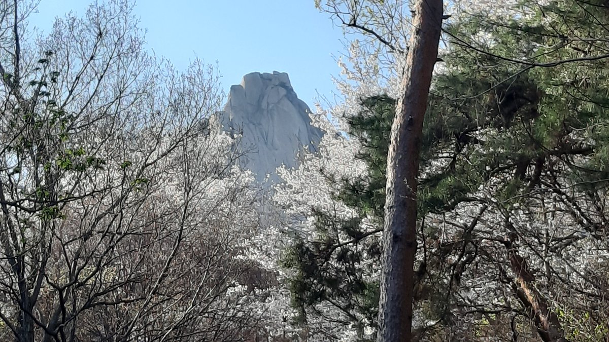 hamlit33 tweet media