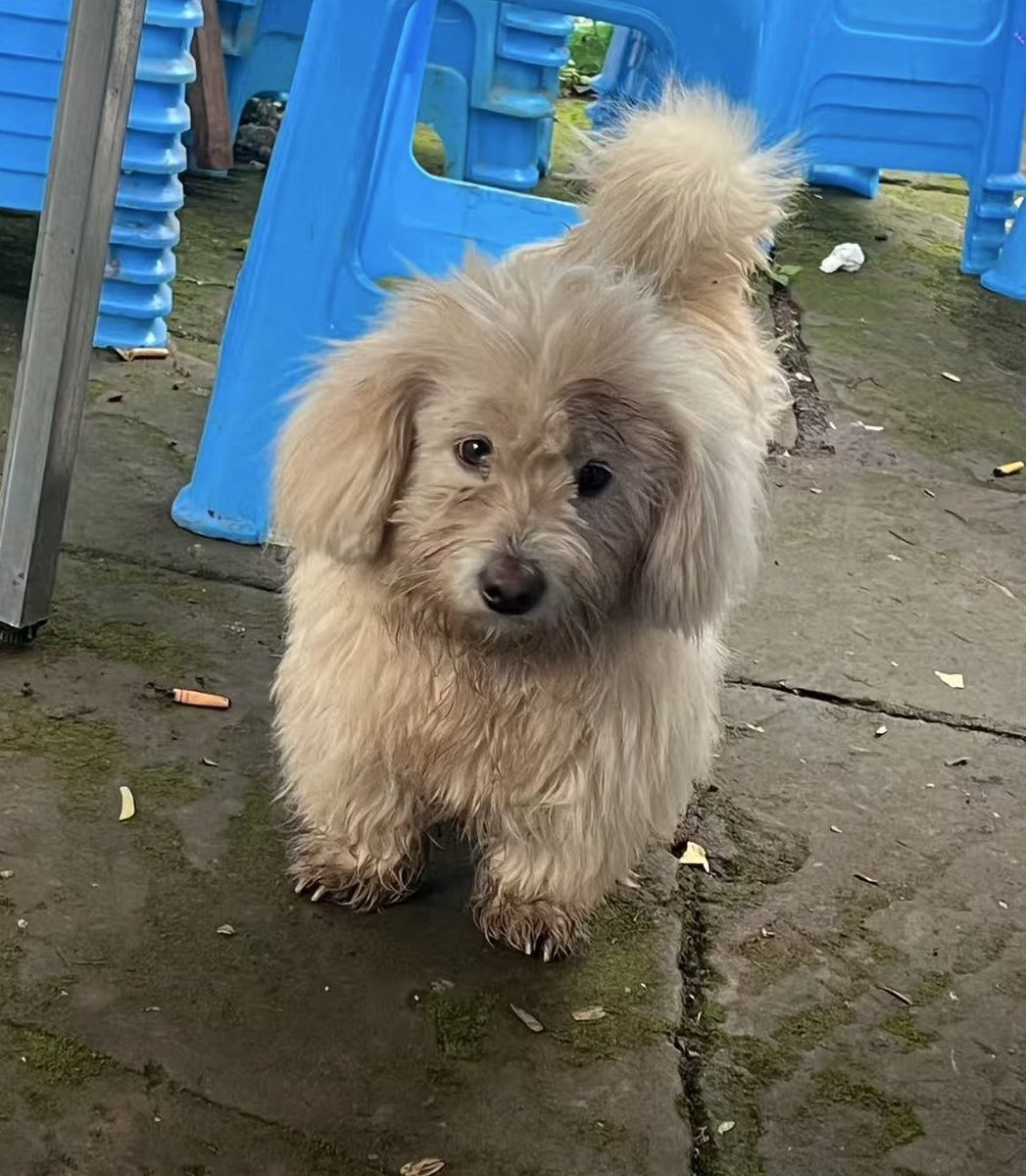 pmsday 𐙚 ⋆。 tweet media