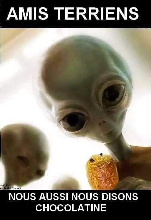 F4DBS Philippe tweet media