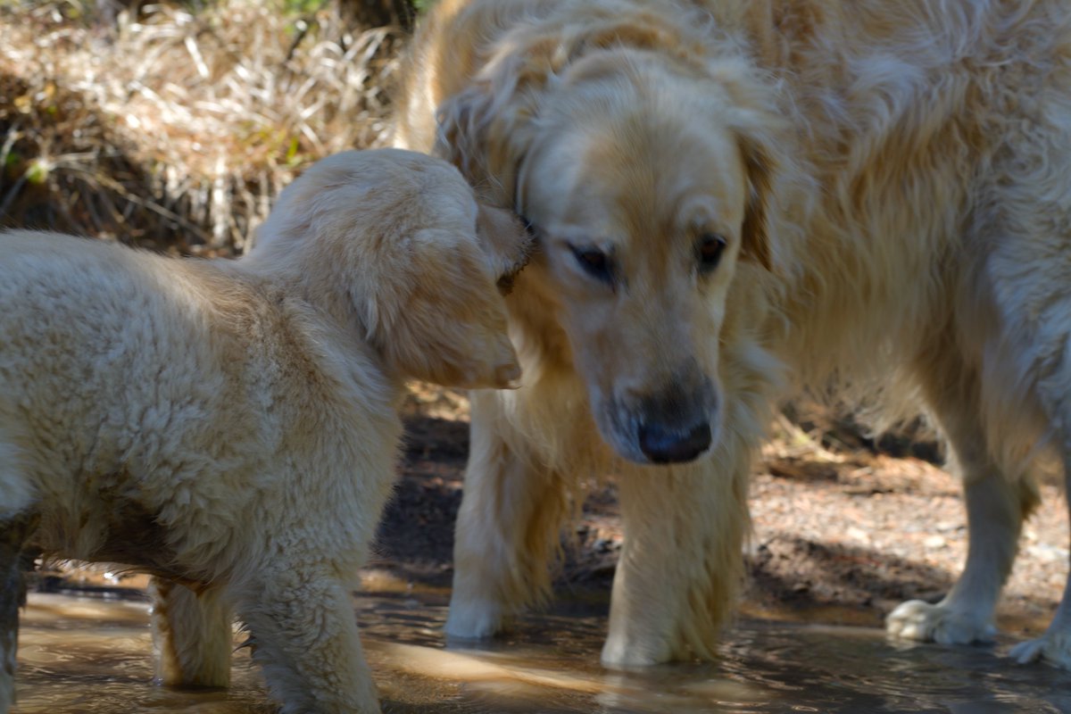 Rich Rautenstrauch tweet media