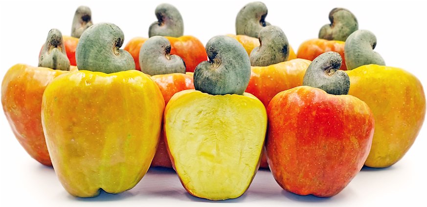 오대갈 tweet media