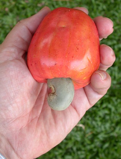 오대갈 tweet media