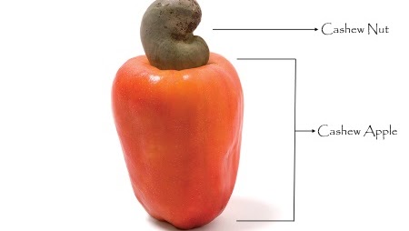 오대갈 tweet media