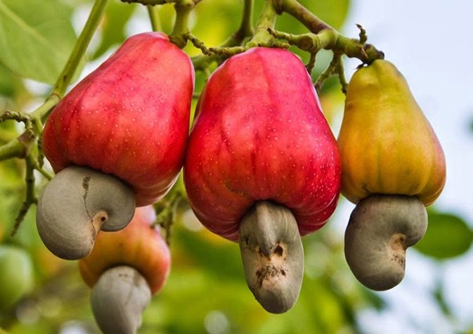 오대갈 tweet media