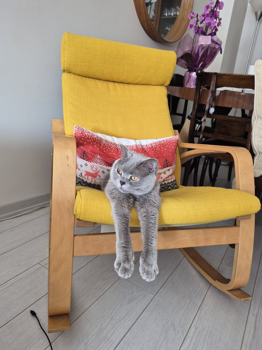 Yüksel Çavuşoğlu. tweet media