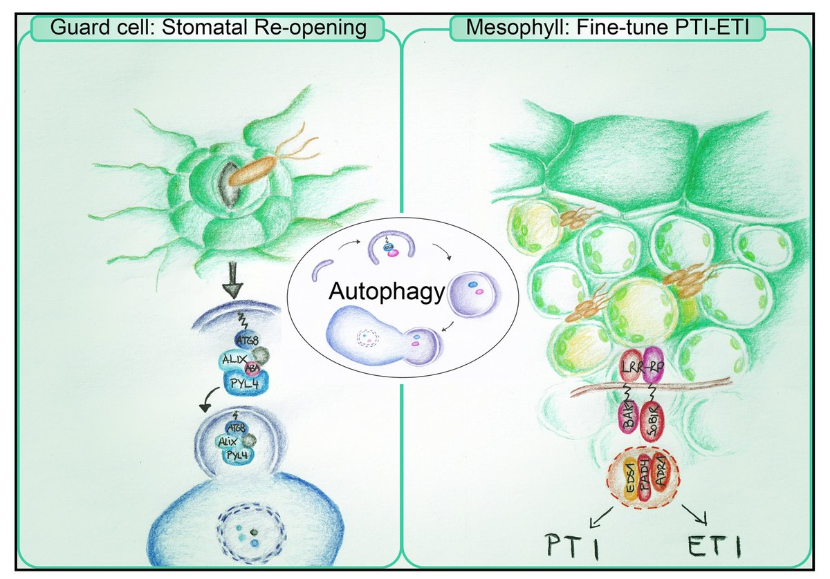 Şuayb Üstün 🌱👨🏻‍🔬 tweet media