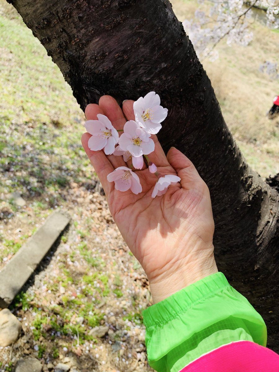 김희숙 tweet media