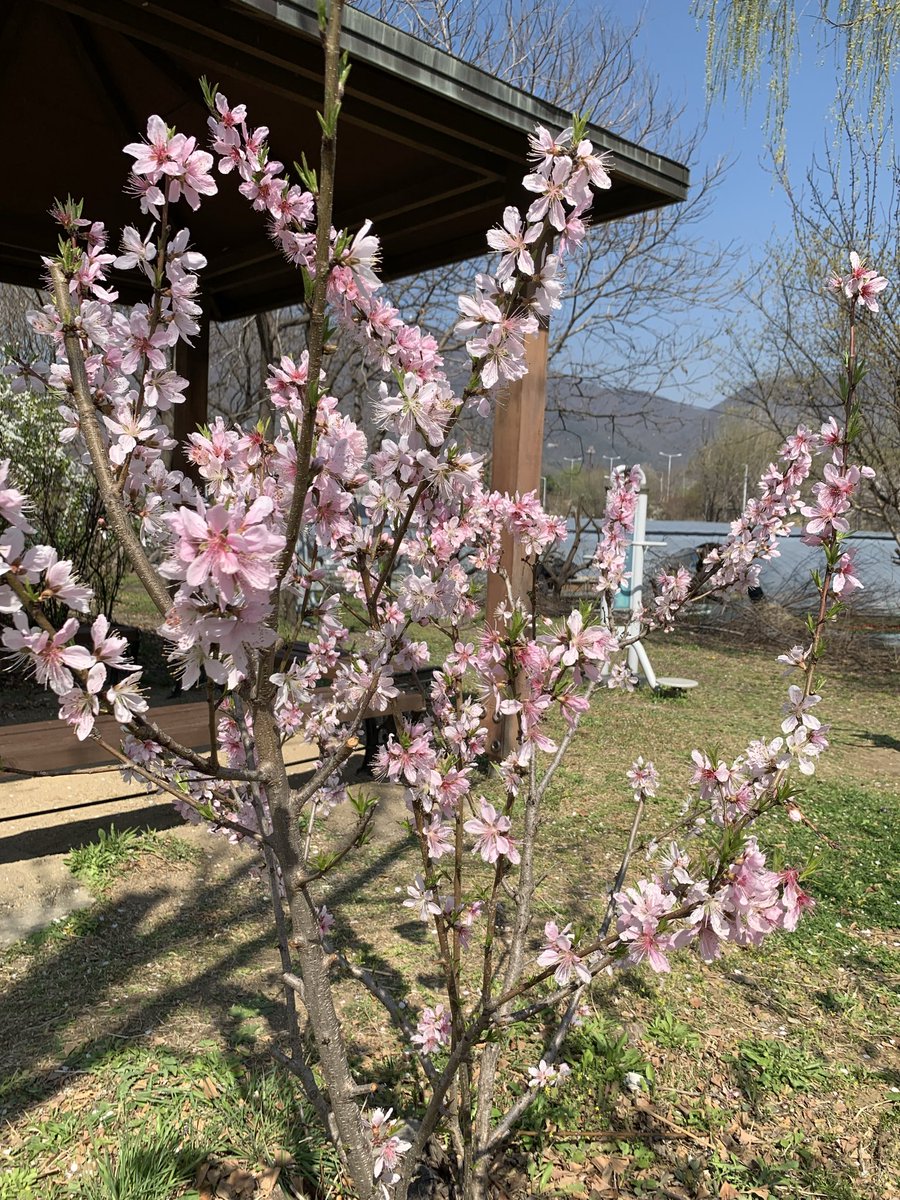 김희숙 tweet media