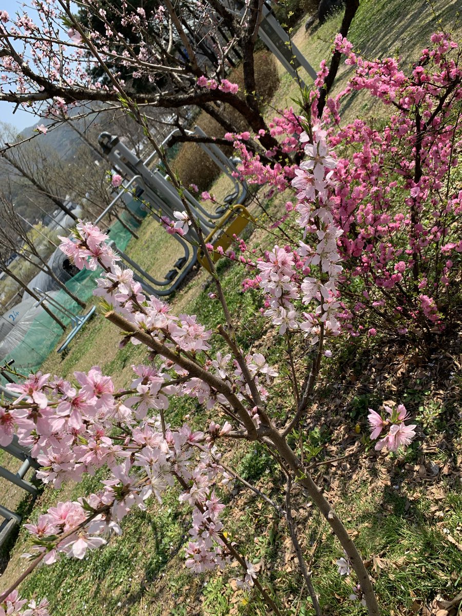 김희숙 tweet media