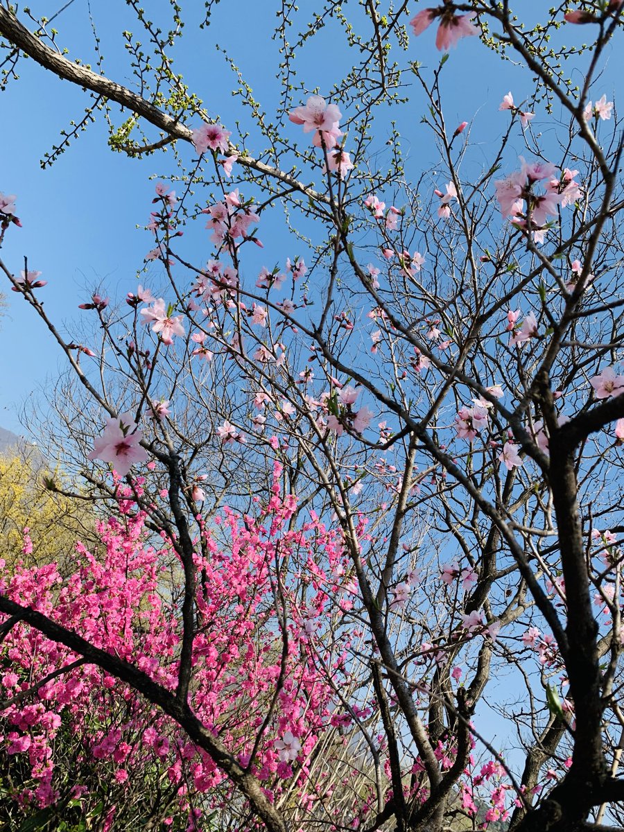 김희숙 tweet media