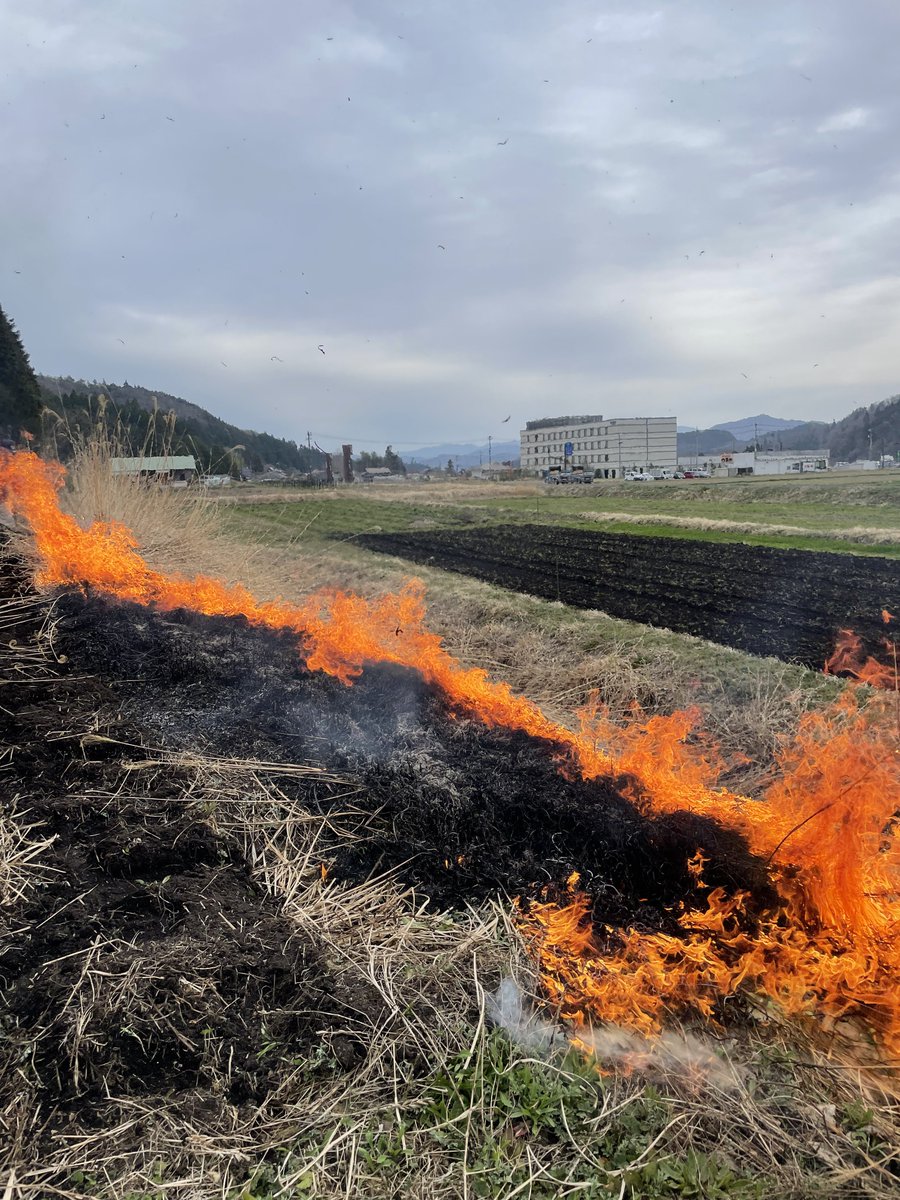 せばすちゃん tweet media